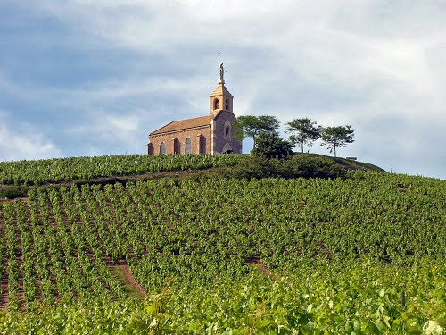 Vinhos com apelação Fleurie, produzidos em Beaujolais, são elegantee