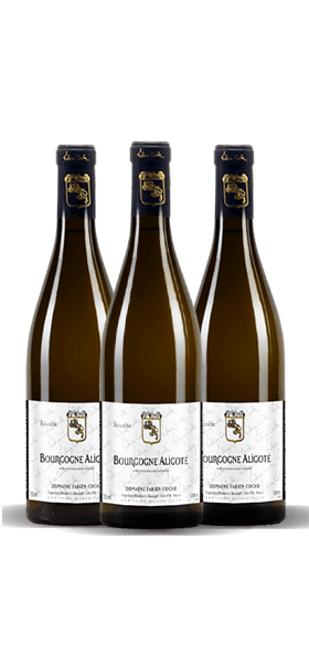 Garrada do vinho Caixa Especial Fabien Coche Aligote