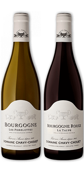 Garrada do vinho Dia dos Pais, Paixão pela Borgonha
