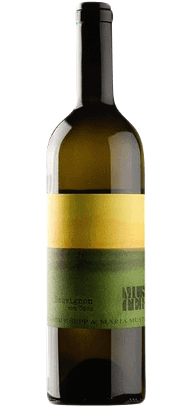 Garrada do vinho Sauvignon Vom Opok