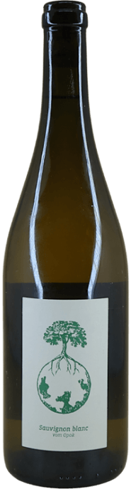 Garrada do vinho Sauvignon Vom Opok