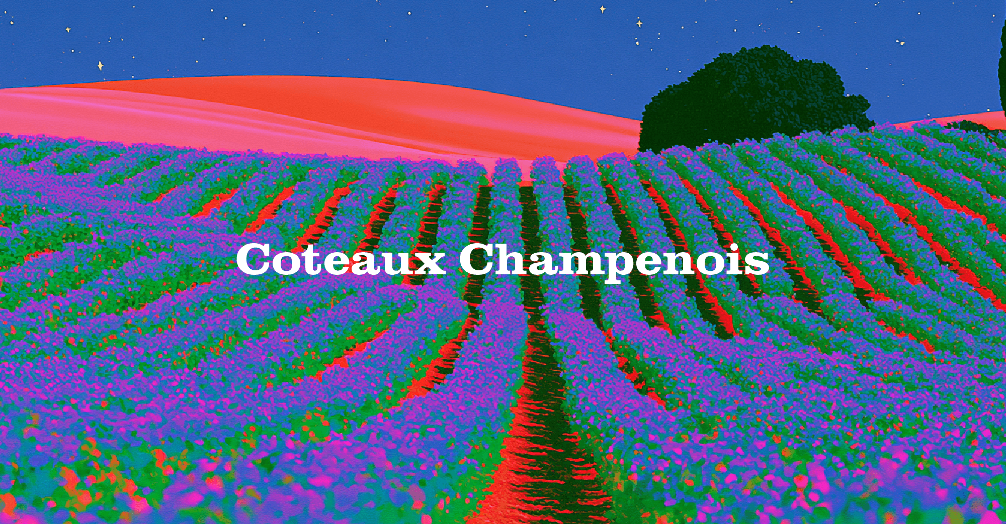 Coteaux Champenois