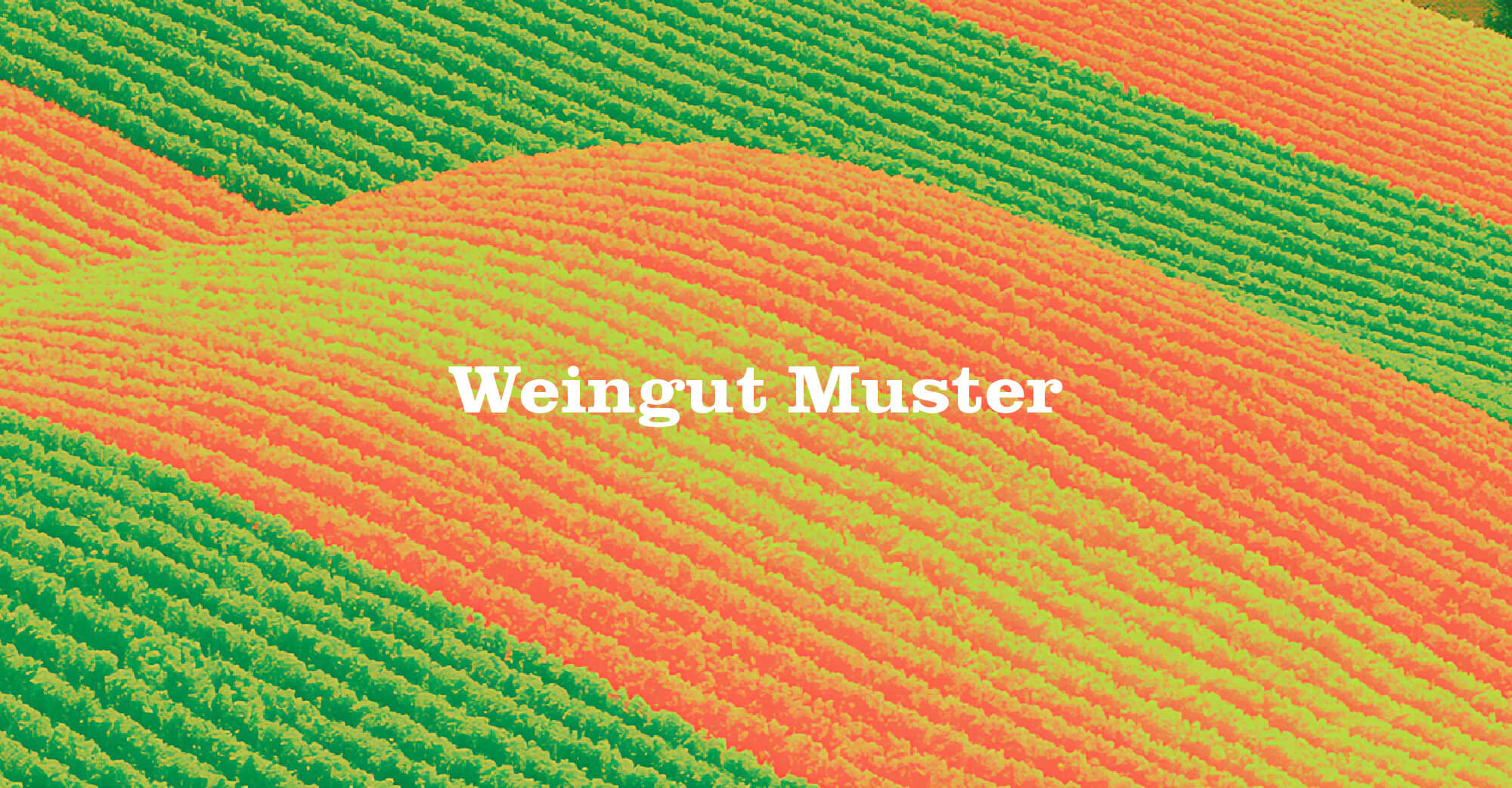 Weingut Muster