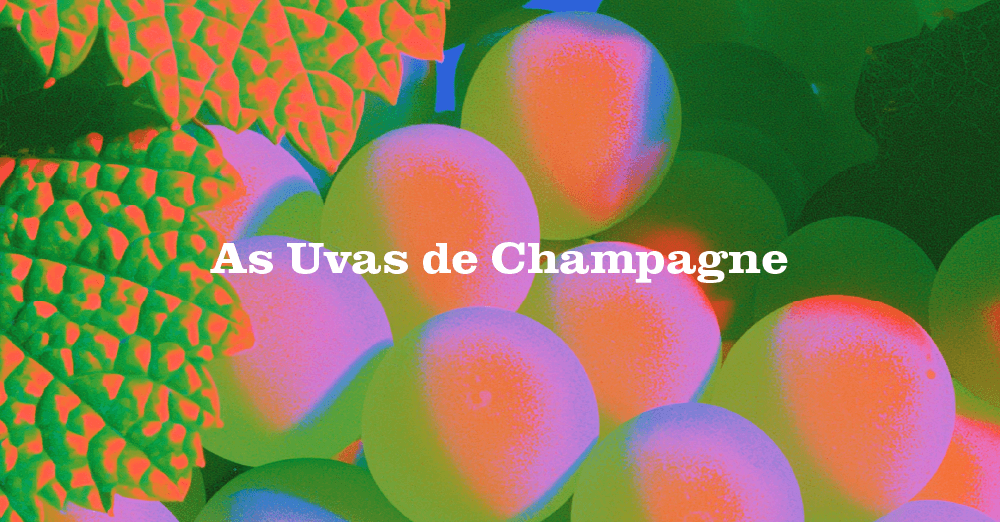 Uvas de Champagne