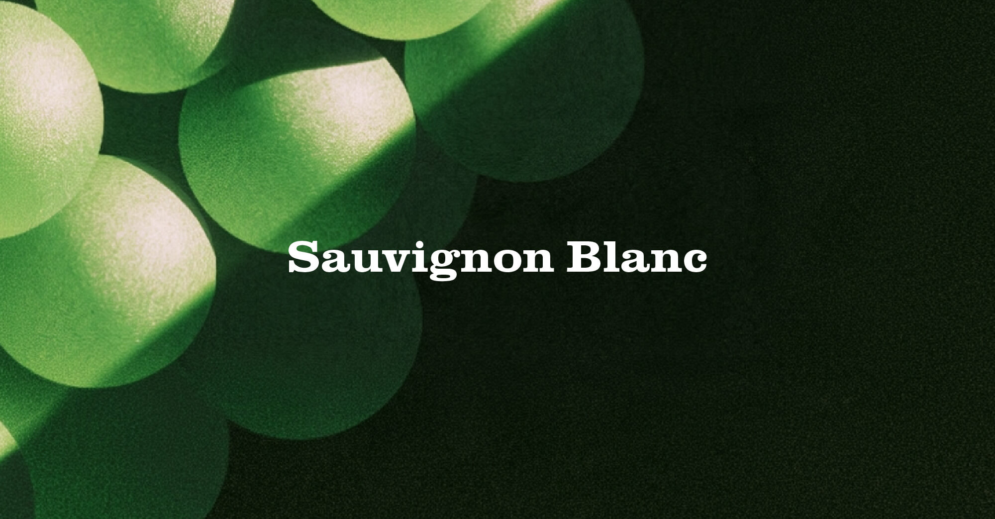 Sauvignon Blanc